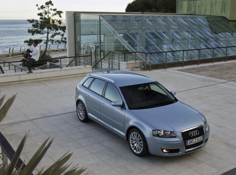  Audi A3 Sportback 1.9 TDI (8PA) 2004 года  (WW) (фото 11 из 23)